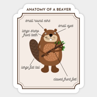 Anatomy of a Beaver Sticker